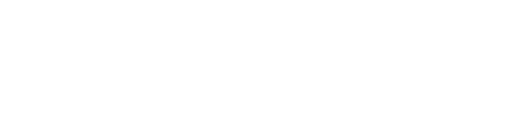 logo-academy-footer